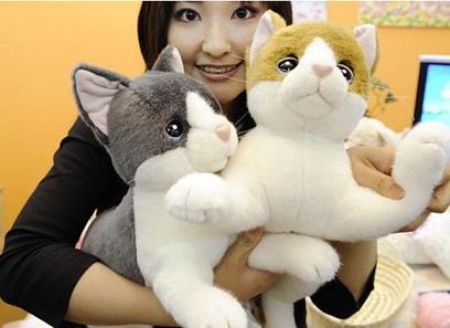 Eu quero!! imagem gatinhos2 Eu quero!!