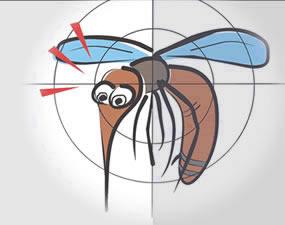 mosquito Curiosidades