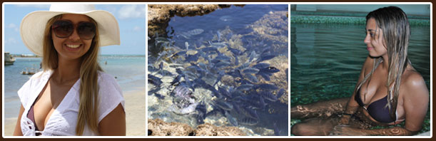 p5 Porto Cai na Rede   Parte 2