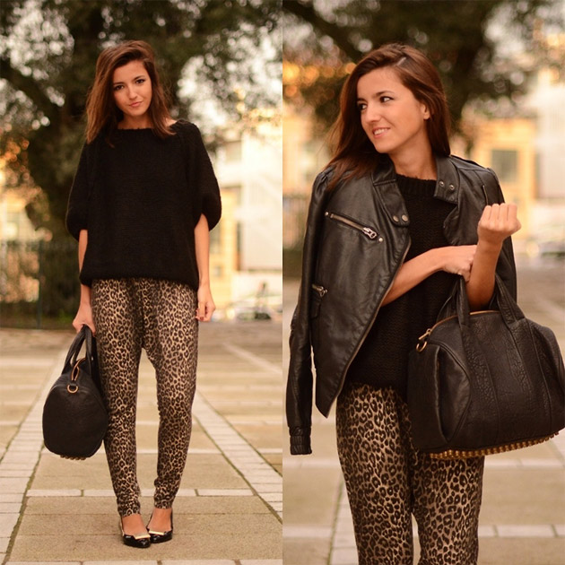 animal4 Animal Print