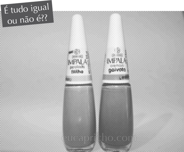 É tudo igual ou não é?! Fitilho x Gaivota imagem fitilho1 É tudo igual ou não é?! Fitilho x Gaivota