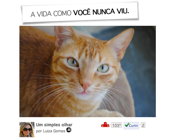 Olhe, Registre e Compartilhe! imagem jon Olhe, Registre e Compartilhe!