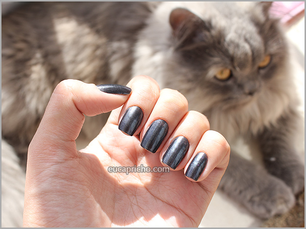 Metal Glam imagem metalglam6 Metal Glam