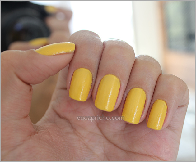 mimosa Mimosa   577   Chanel