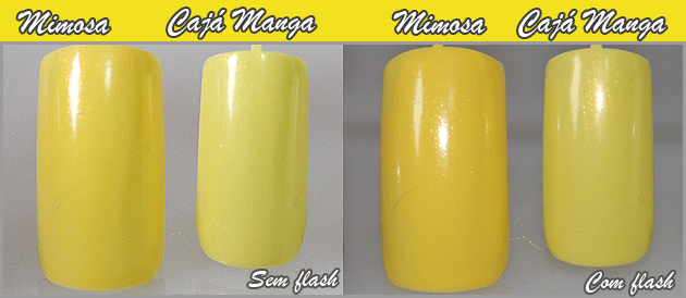 Mimosa x Cajá Manga imagem mimosa3 Mimosa x Cajá Manga