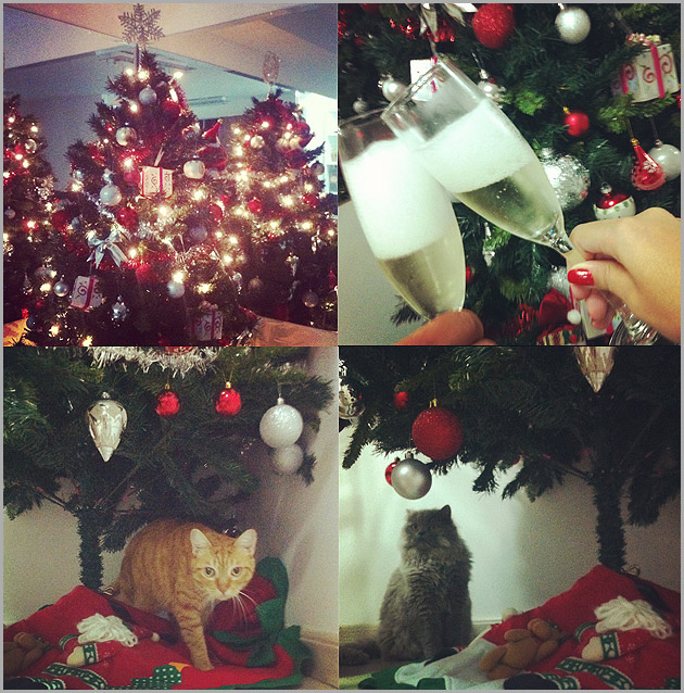 natal(1) Inspiração da Semana
