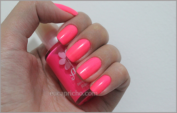 rosamaravilha2 Rosa Maravilha