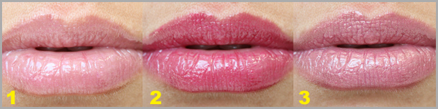 vs7 Essential Face Kit    Victoria`s Secret