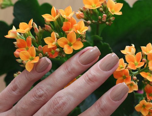 ESMALTE NUDE SEM RETOQUE COLORAMA - todos os detalhes de um lindo esmalte nude da coleção de Nudes da Colorama! Confira o post completo com as melhores fotos. #nude #nails #esmaltes #esmaltenude #colorama #fotosdeunhas