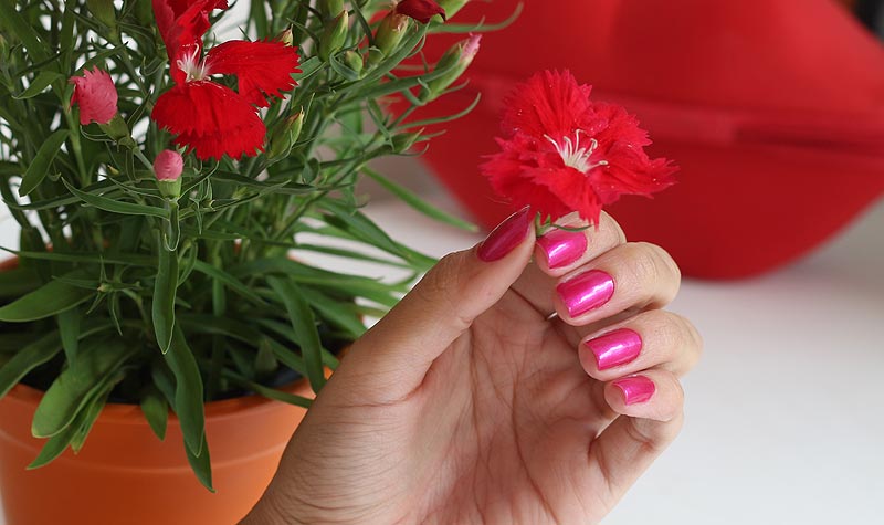 ESMALTE PINK RIR DE TUDO SPECIALLITA - todos os detalhes desse esmalte rosa lindo! Muitas fotos e informações, confira aqui!