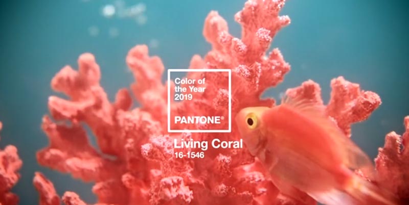 Decorando com a cor Pantone 2019 – Living Coral - veja todos os detalhes da cor de 2019, confira dicas, inspirações, referências e muito mais! o melhor post.